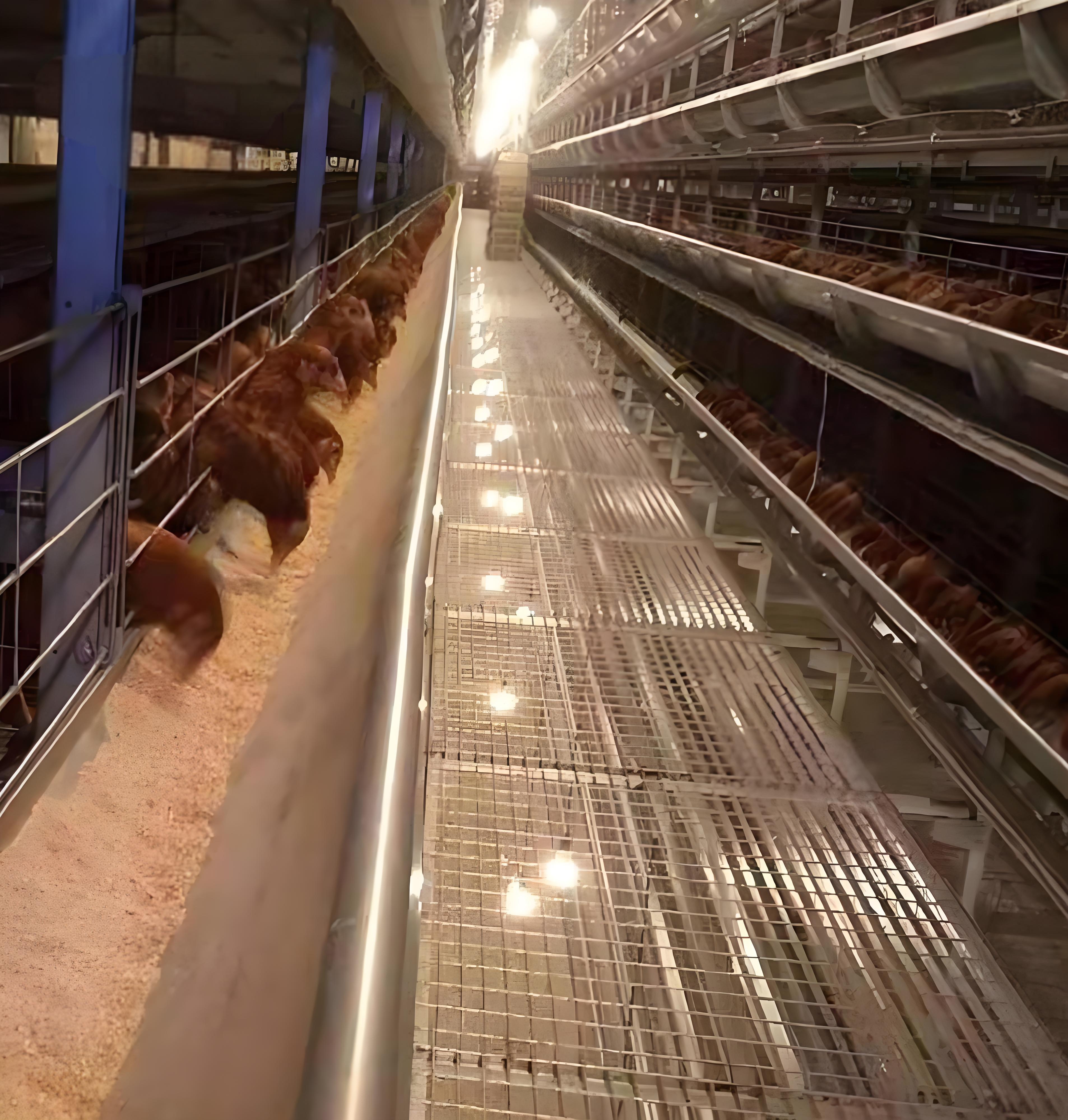 貴州省金仕達畜牧科技有限公司